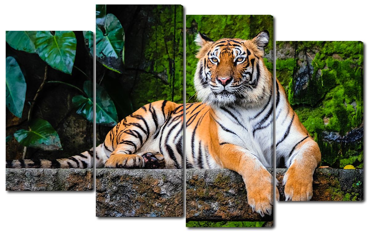 

Модульная картина Interno Холст Бенгальский тигр 114x69см