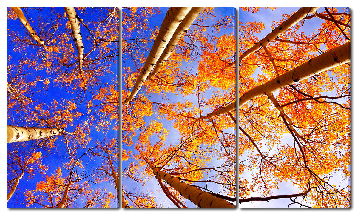 

Модульная картина Interno Холст Осенние деревья 124х70см