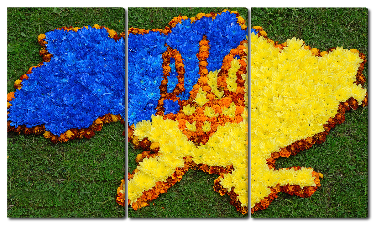 

Модульная картина Interno Холст Карта Украины 104х58см