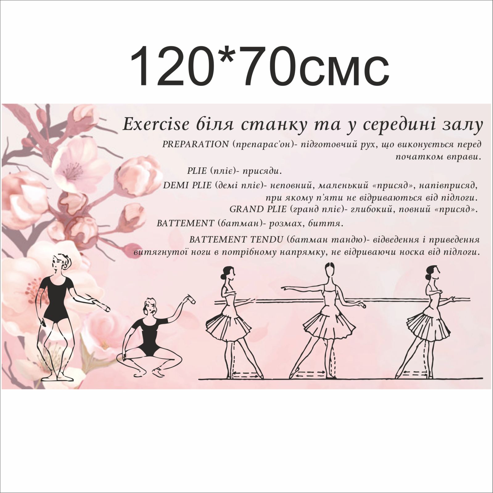

Плакат Vivay “Exercize біля станку та у середині залу” 120x70 см (a8224c-18362)