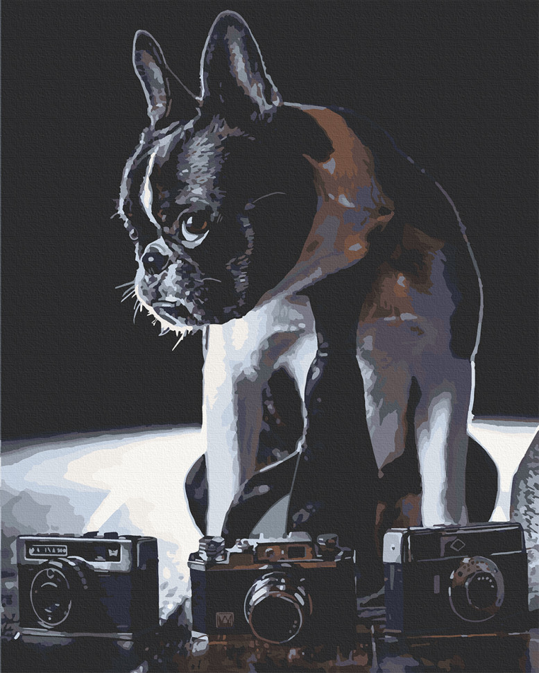 

Картина по номерам. Art Craft "Застенчивый фотограф" 40х50 см 11642-AC