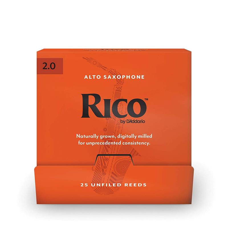 

Аксессуар для духового инструмента RICO RJA0120-B25 104584