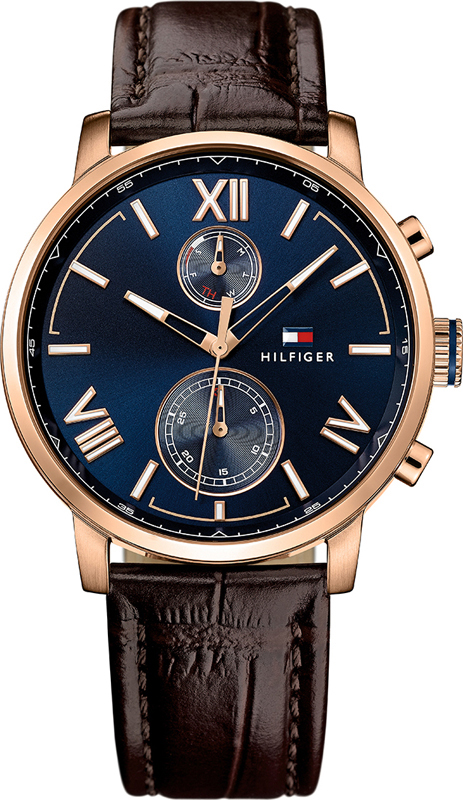 

Мужские часы Tommy Hilfiger 1791308