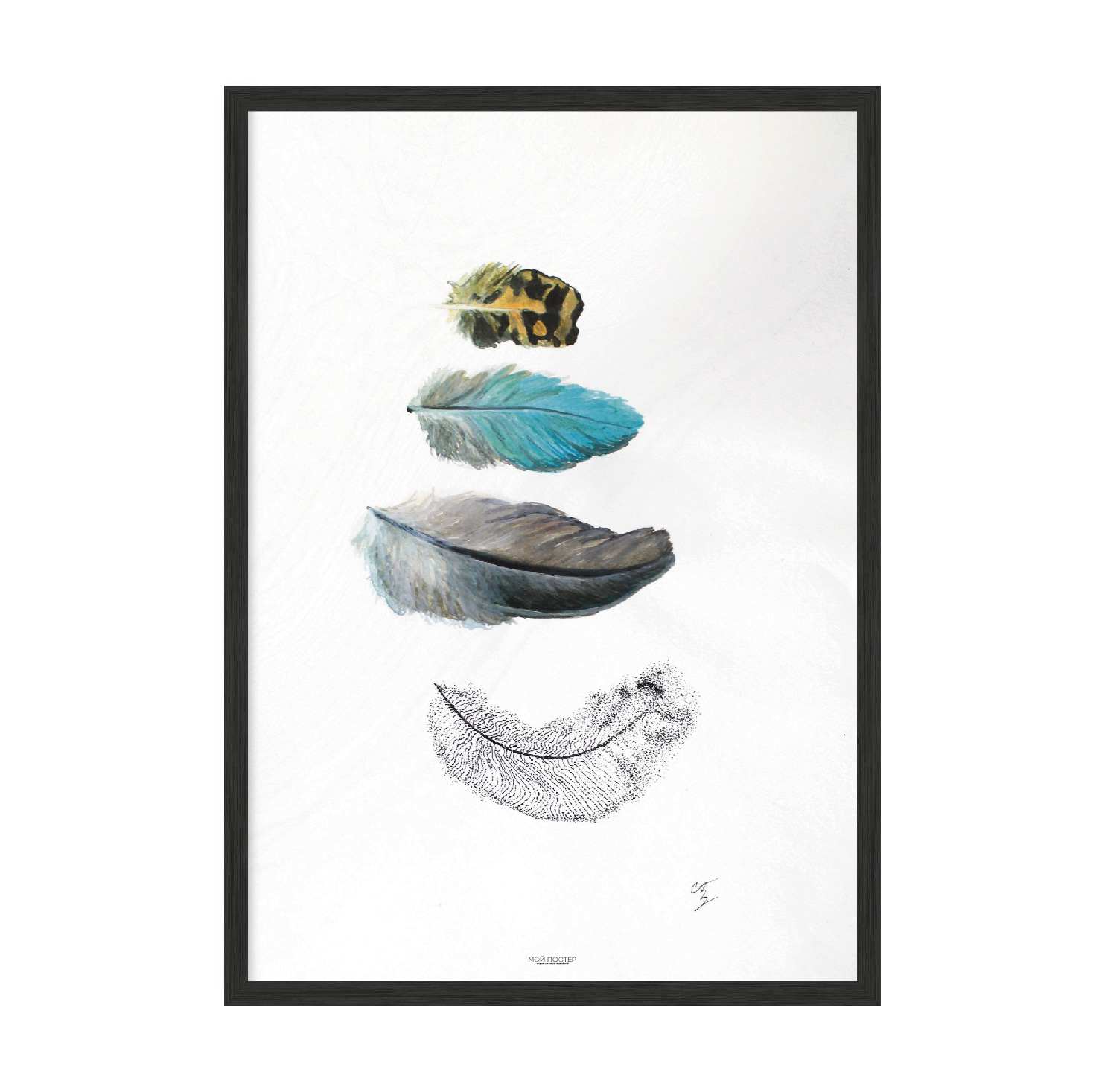 

Постер "Перья" с антибликовым стеклом 29.7 x 42 см в чёрной рамке