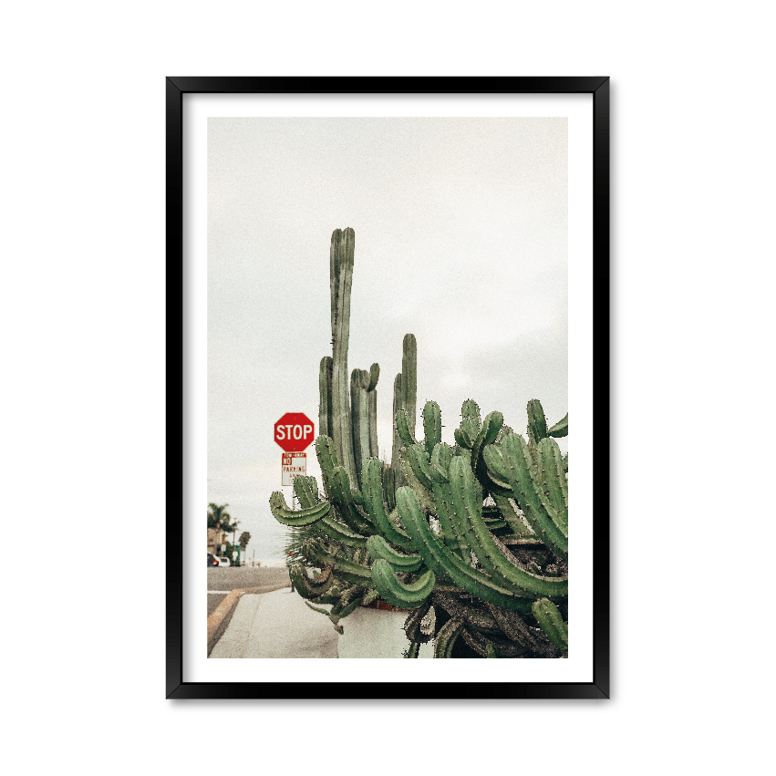 

Постер "Cactus" без стекла 59.6 x 84 см в чёрной рамке