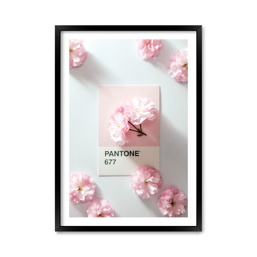

Постер "Pantone 677" с антибликовым стеклом 29.7 x 42 см в чёрной рамке