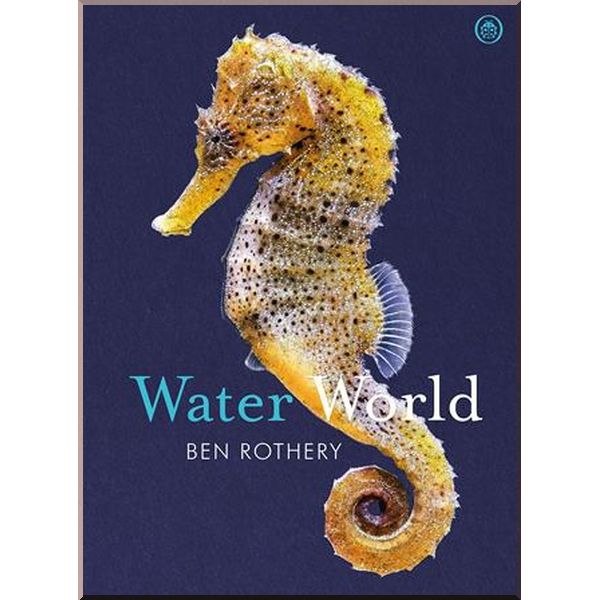 

Ladybird Water World. Ben Rothery. ISBN:9780241435533