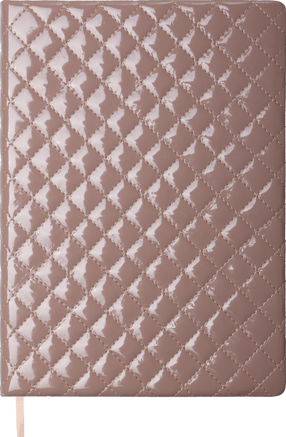 

Дневник датированный Buromax Donna 2022 A4 336 страниц капучино (BM.2742-32)