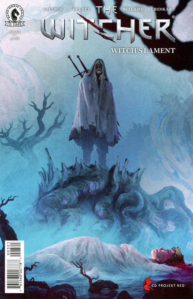 

Witcher Witchs Lament #3 Cover B Variant Anato Finnstark Cover
