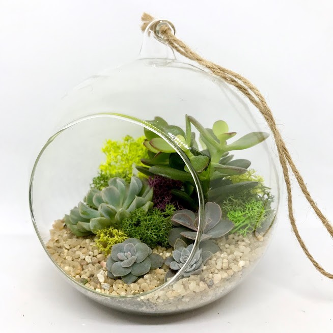 

Флорариум Garden mix в круглом аквариуме