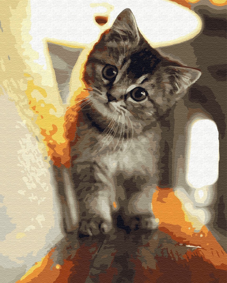 

Картина по номерам Маленький котик 50*40 BrushMe