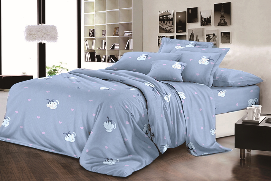 

Простынь MirSon Бязь Premium 17-0119 Anacleto 200х220 см