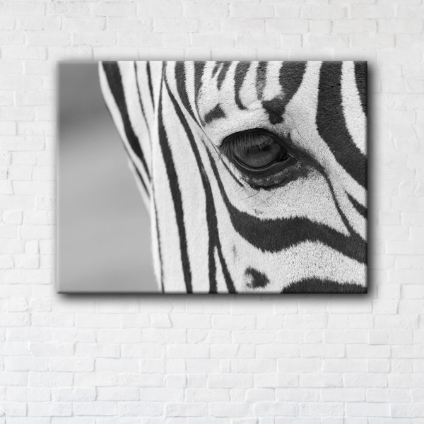 

Картина на холсте прямоугольная I-Art Zebra 50x65см