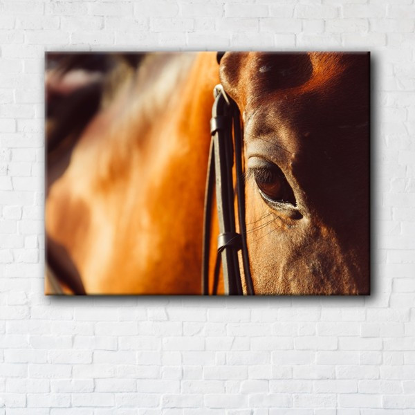

Картина на холсте прямоугольная I-Art Horse 110x145см