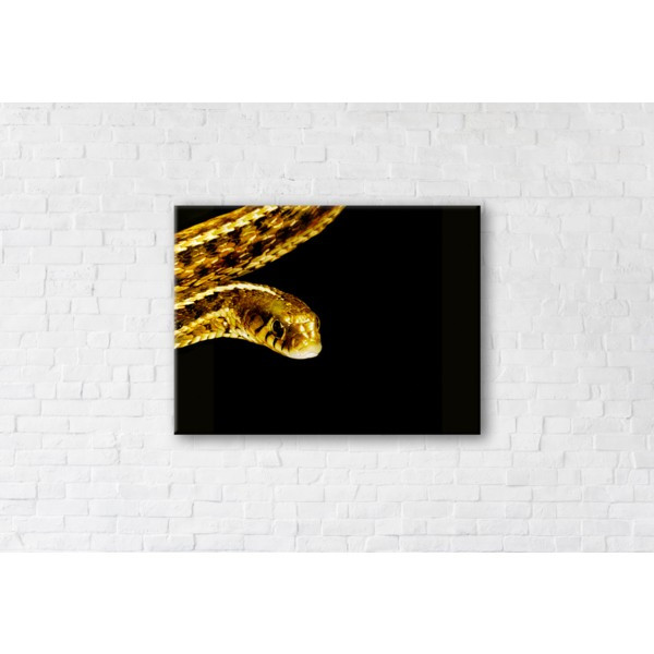

Картина на холсте прямоугольная I-Art Golden Snake 110x145см