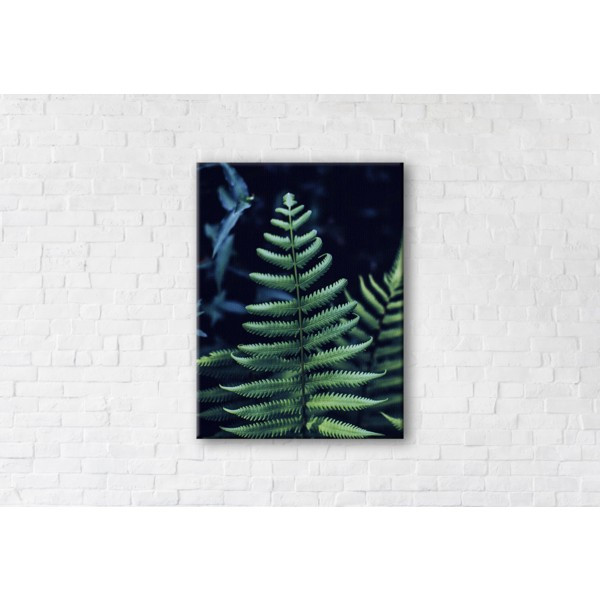 

Картина на холсте прямоугольная I-Art Bracken Fern 90x120см