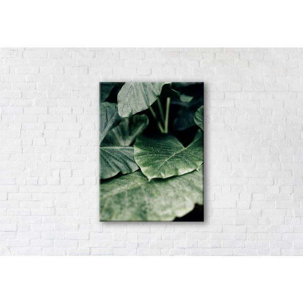 

Картина на холсте прямоугольная I-Art Freshness 45x60см