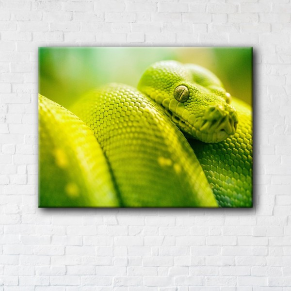 

Картина на холсте прямоугольная I-Art Green Snake 50x65см