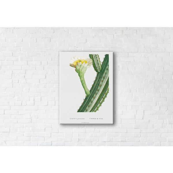 

Картина на холсте прямоугольная I-Art Cactus 50x65см
