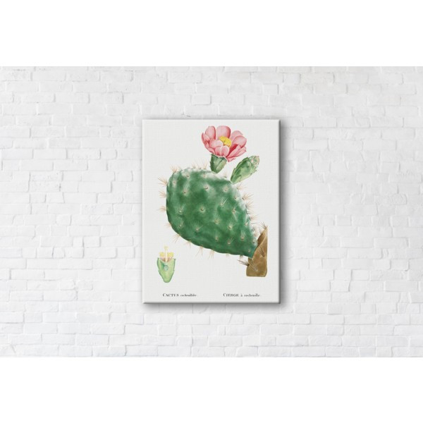 

Картина на холсте прямоугольная I-Art Cactus Pink 50x65см