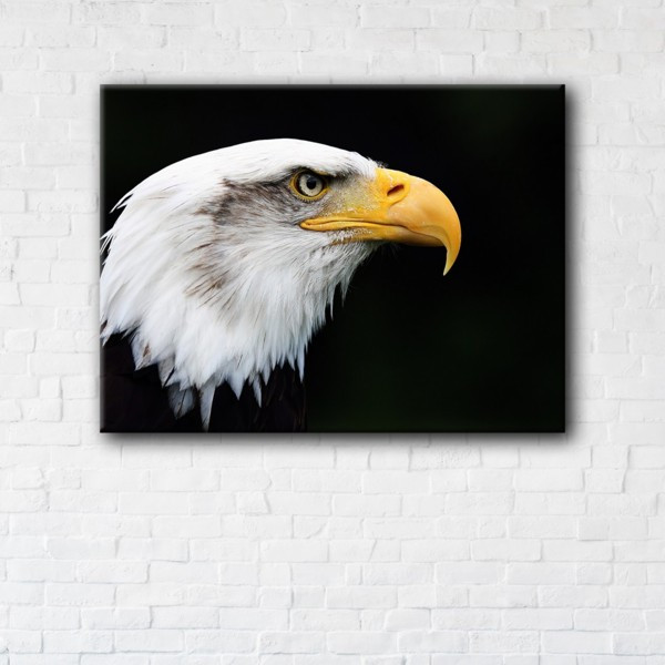 

Картина на холсте прямоугольная I-Art Eagle 45x60см