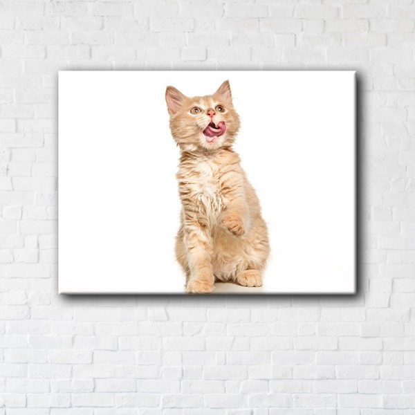 

Картина на холсте прямоугольная I-Art Screaming cat 70x140см