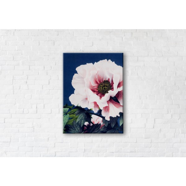 

Картина на холсте прямоугольная I-Art Poppy 75x100см