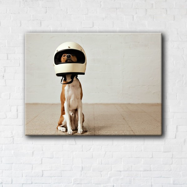 

Картина на холсте прямоугольная I-Art Dog astronaut 90x120см