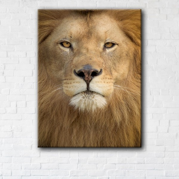 

Картина на холсте прямоугольная I-Art Lion 40x80см