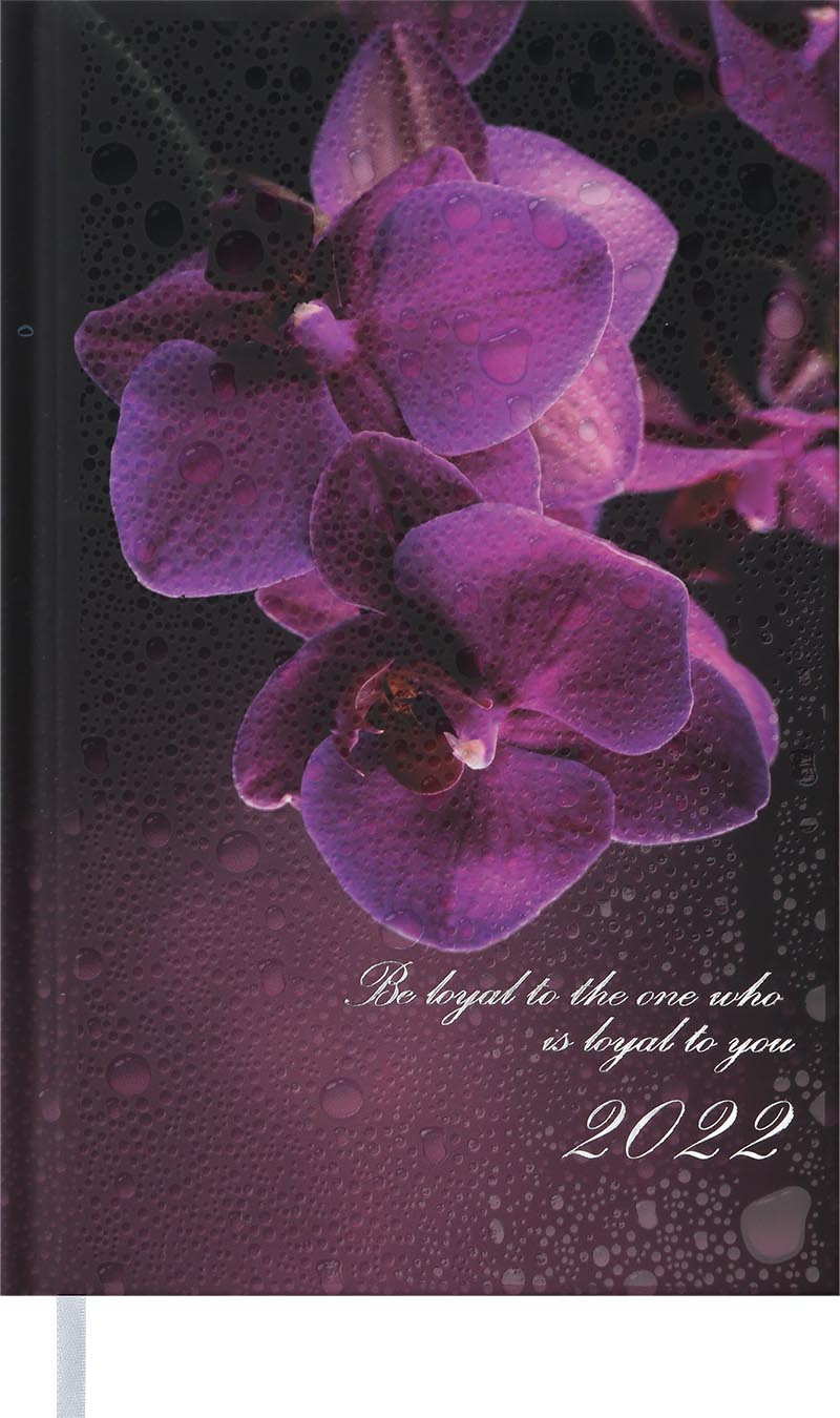 

Ежедневник датированный Buromax Posh A6 на 336 страниц Бордовый (BM.2536-13)