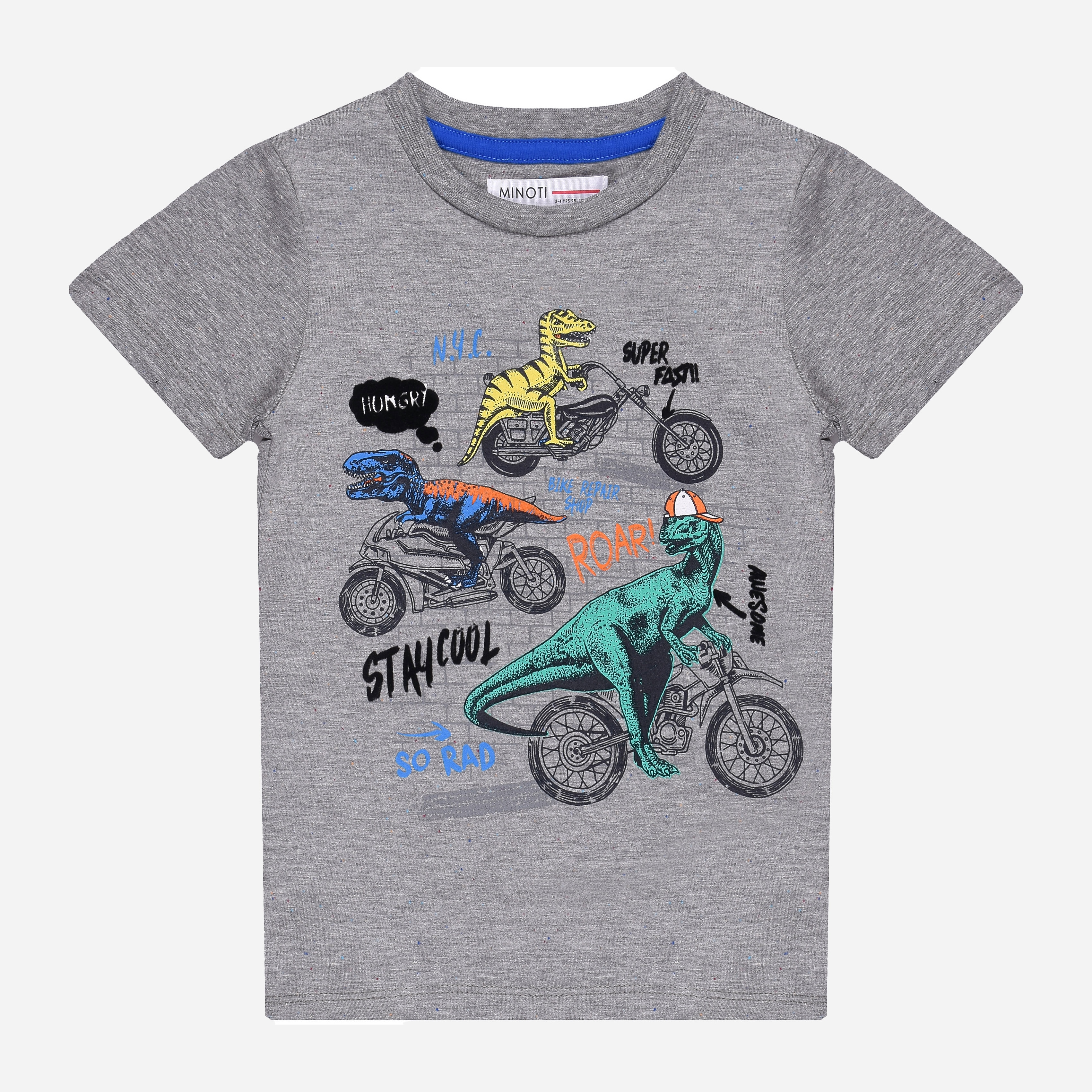 

Футболка Minoti Roar 3 12779 74-80 см Серая