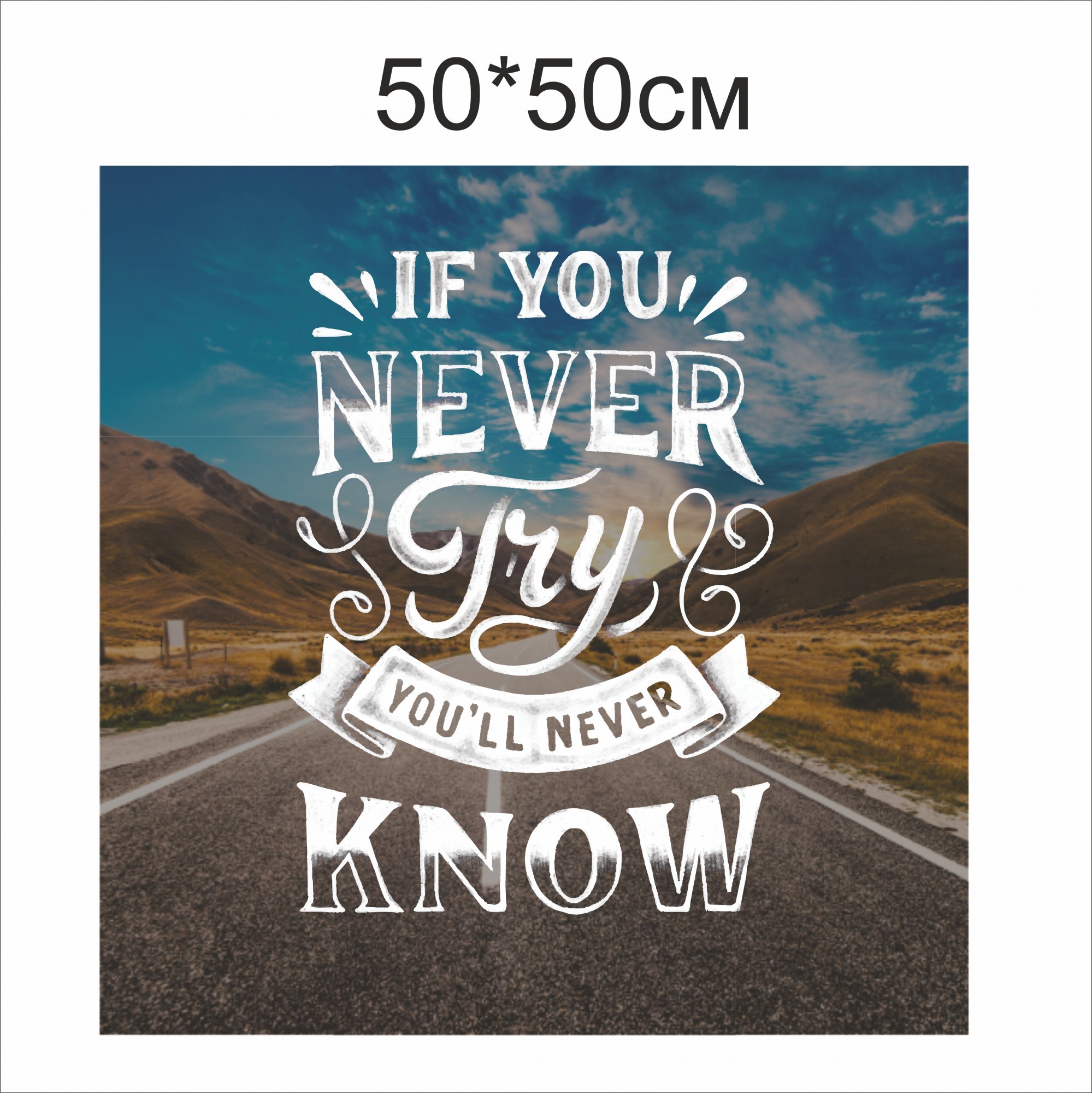 

Плакат Vivay If you never try you`ll never know 50x50 см (4640)