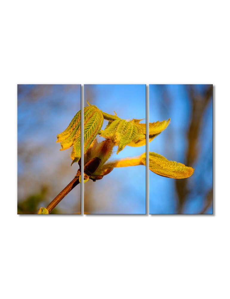 

Модульная картина Artel «Распускающийся лист каштана» 3 модуля 120x180 см