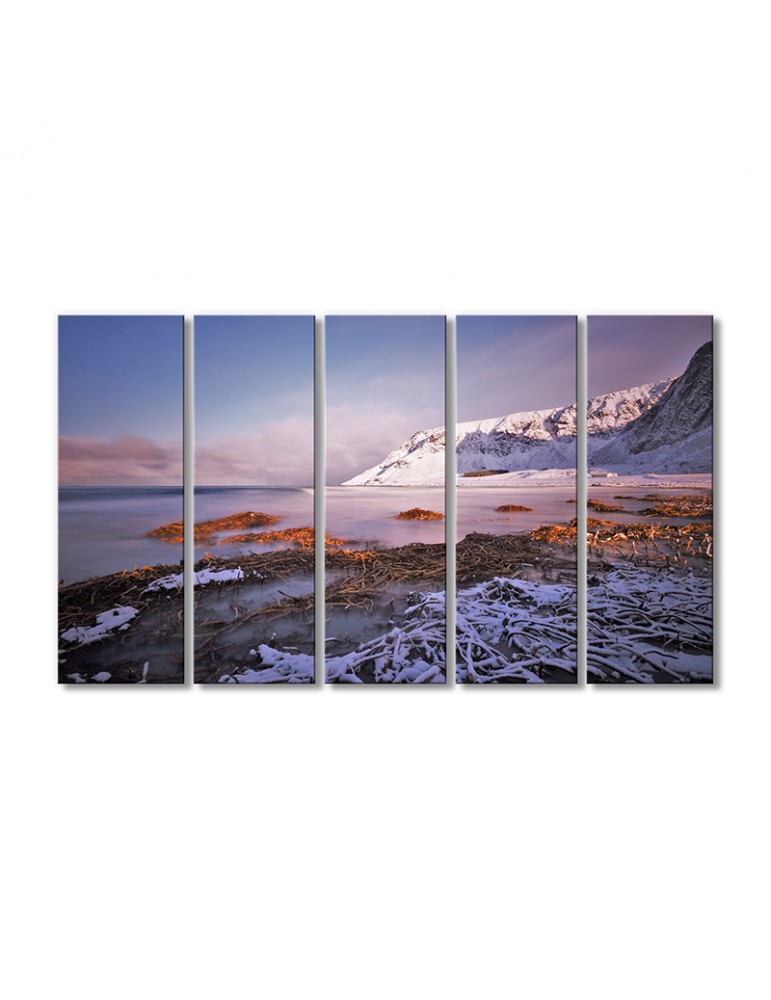 

Модульная картина Artel «Полярная шапка» 5 модулей 80x120 см