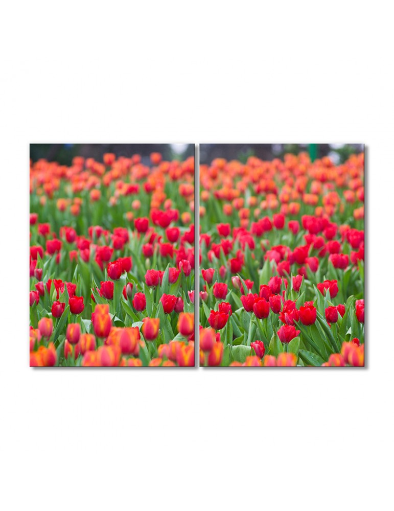 

Модульная картина Artel «Поле алых тюльпанов» 2 модуля 80x120 см