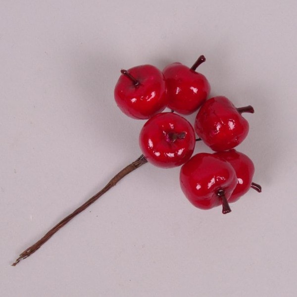 

Пучок Яблочек Flora 12шт/уп 75394 (NAT07270)