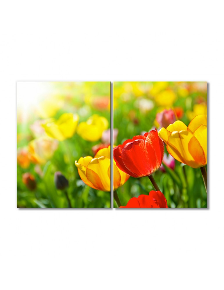 

Модульная картина Artel «Полевые тюльпанчики» 2 модуля 80x120 см