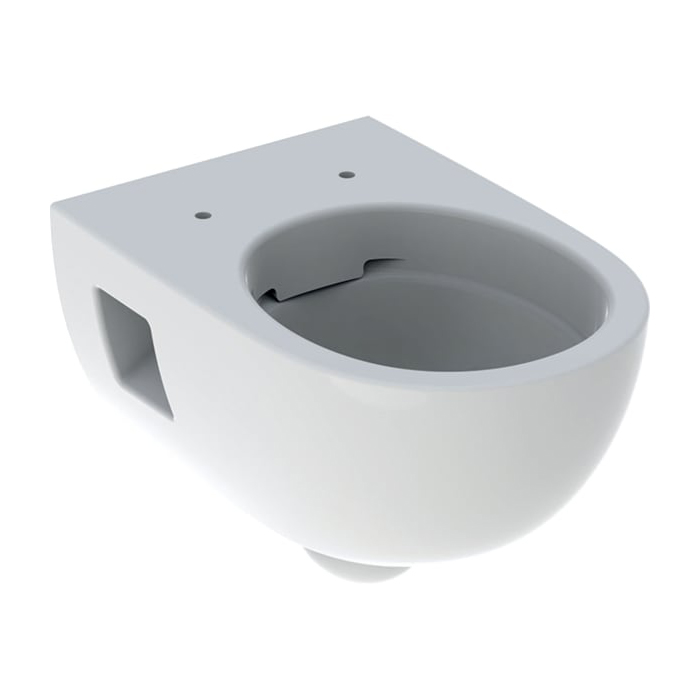 

Унитаз подвесной GEBERIT SELNOVA Rimfree 501.545.01.1 белый (83051)