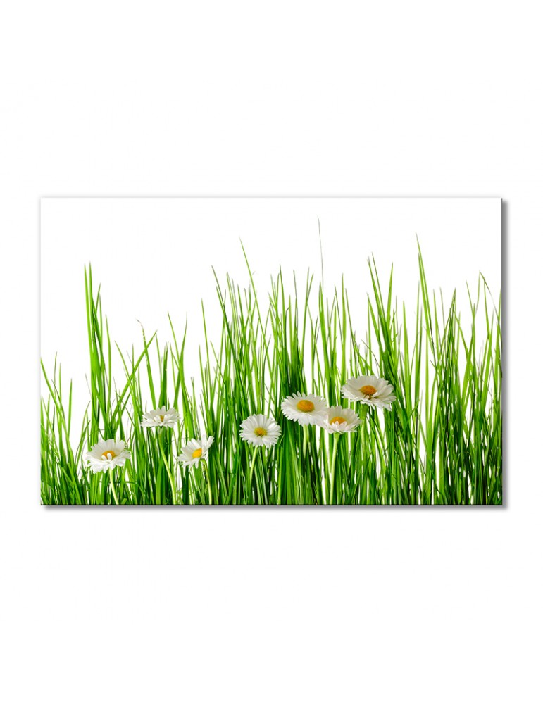 

Модульная картина Artel «Ромашки минимализм» 1 модуль 70x105 см