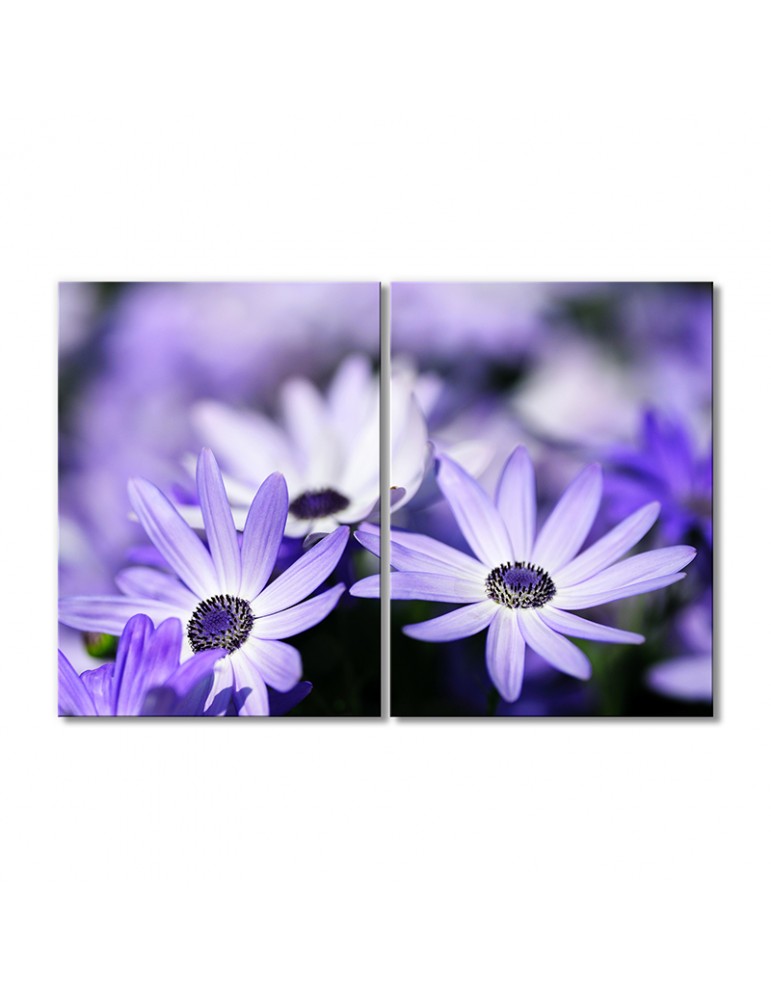 

Модульная картина Artel «Светло-фиолетовая диморфотека» 2 модуля 90x135 см