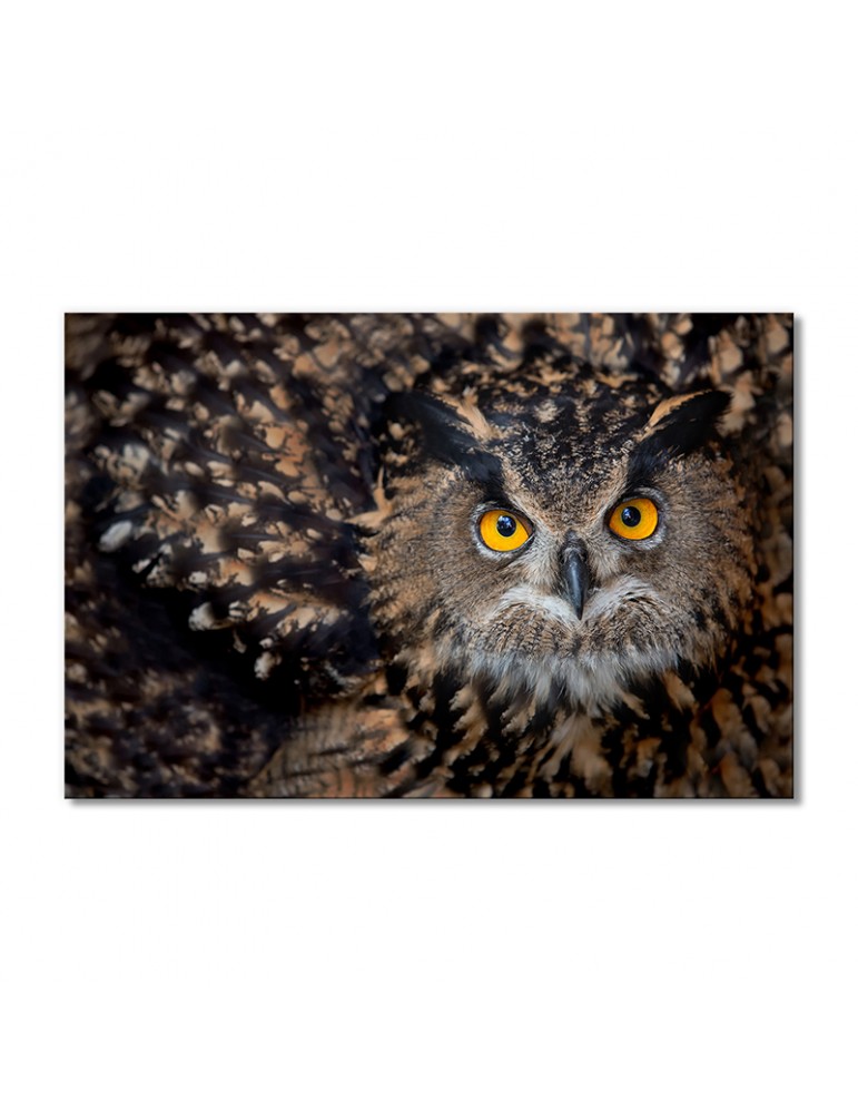 

Модульная картина Artel «Сова» 1 модуль 80x120 см