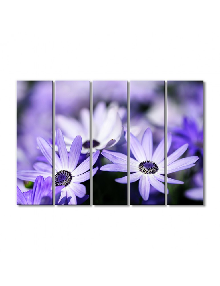 

Модульная картина Artel «Светло-фиолетовая диморфотека» 5 модулей 90x135 см