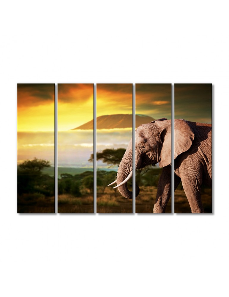 

Модульная картина Artel «Слон на закате Южная Африка» 5 модулей 120x180 см