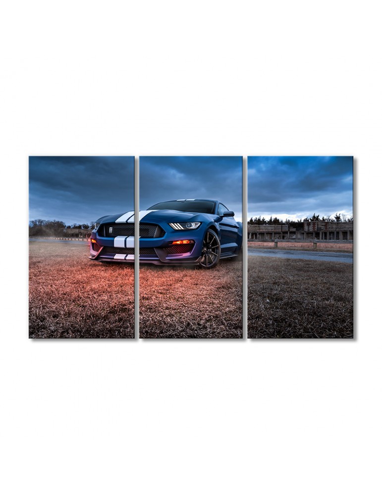

Модульная картина Artel «Синий Форд Мустанг Шелби GT500» 3 модуля 80x120 см