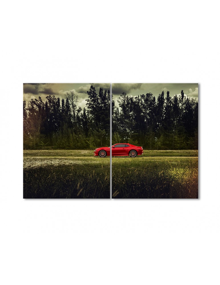 

Модульная картина Artel «Спортивная машина в поле» 2 модуля 70x105 см