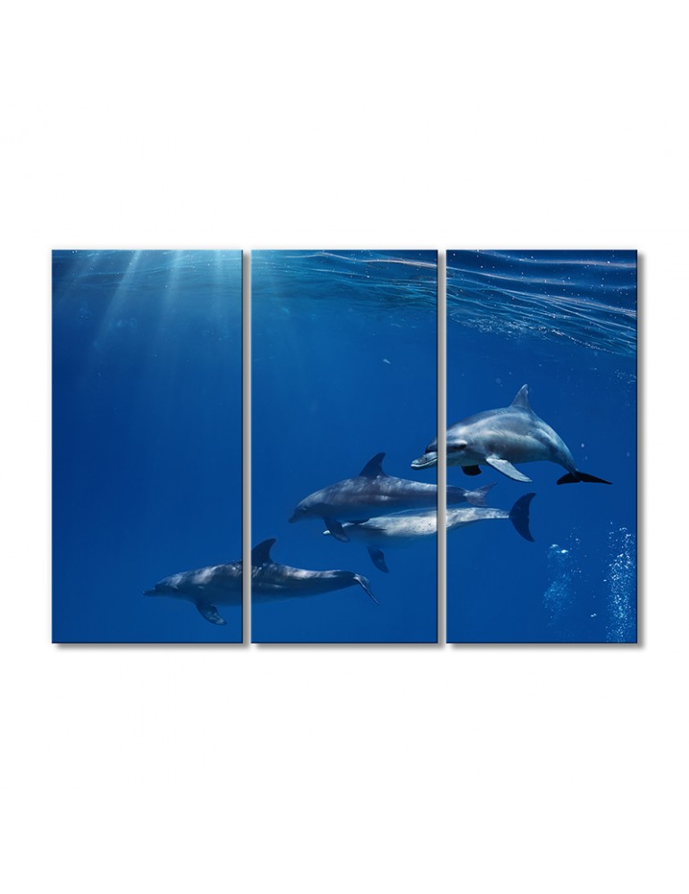 

Модульная картина Artel «Семейство дельфинов» 3 модуля 90x135 см