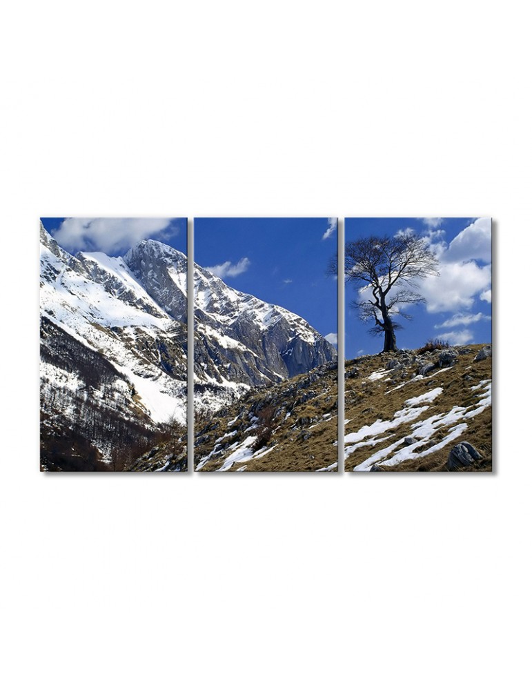 

Модульная картина Artel «Снежные горы небо» 3 модуля 50x75 см