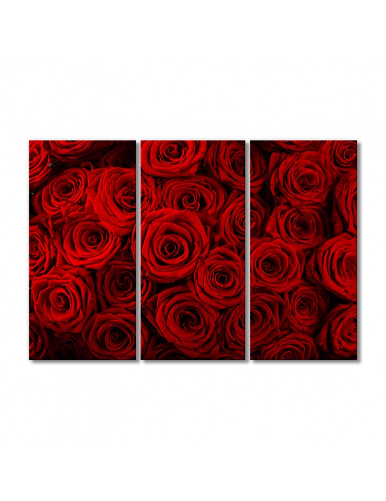 

Модульная картина Artel «Стена из красных роз» 3 модуля 50x75 см