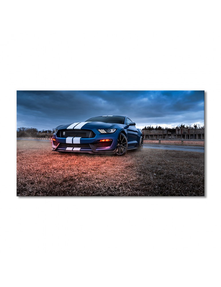 

Модульная картина Artel «Синий Форд Мустанг Шелби GT500» 1 модуль 50x75 см