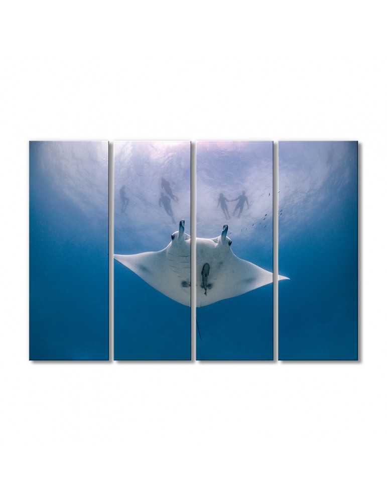 

Модульная картина Artel «Скат» 4 модуля 80x120 см
